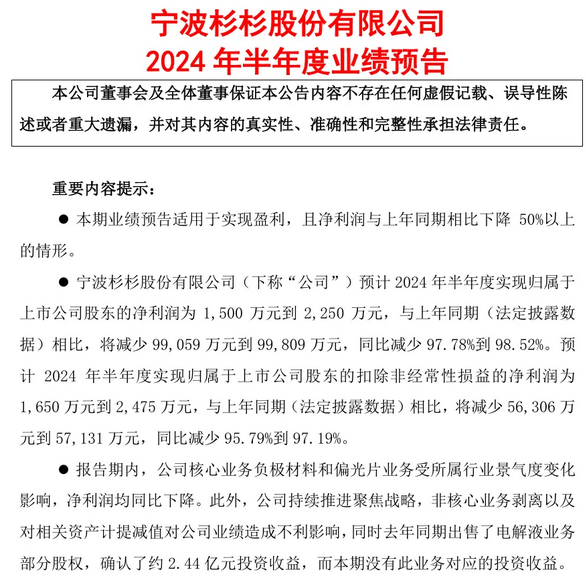 杉杉股份2024年半年度業(yè)績預(yù)告：盈利大幅下滑，業(yè)務(wù)調(diào)整中尋求突破